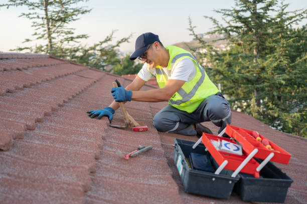 Best Roof Moss and Algae Removal  in USA